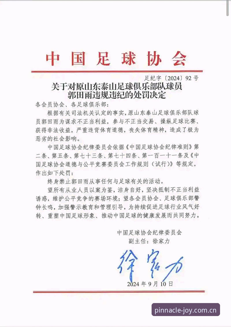 平博PINNACLE官方入口2026最新版本 中国足协第三批禁足名单全网热议,平博体育平台用户解读行业净化